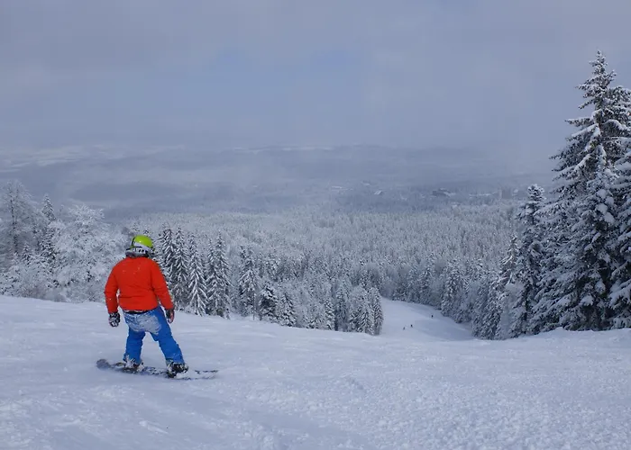 Apartments, Flora Violet Borovets